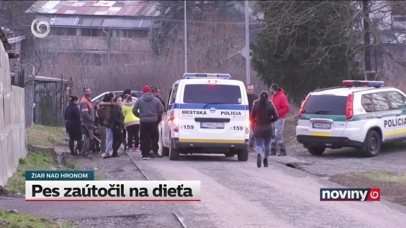 Pes zaútočil na dieťa