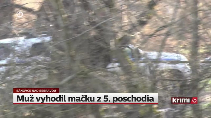Muž vyhodil mačku z 5. poschodia