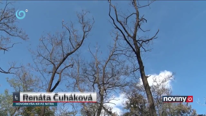 Kam dopadla stíhačka?