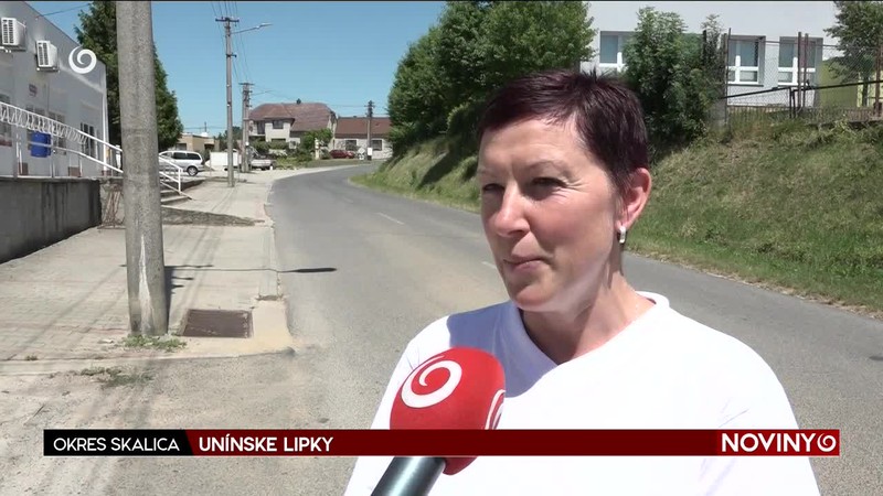 UNÍNSKE LIPKY