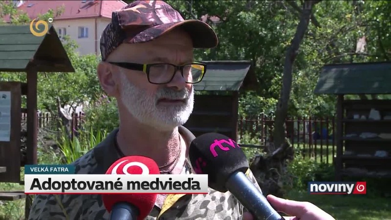 Adoptované medvieďa