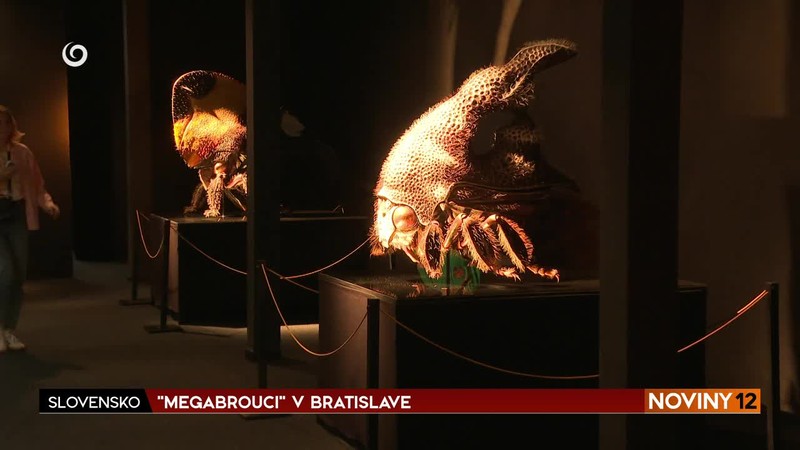 "MEGABROUCI" V BRATISLAVE