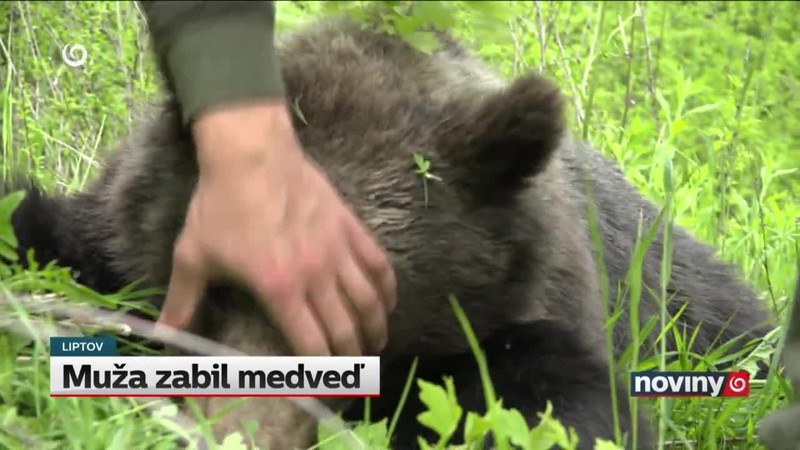Muža zabil medveď