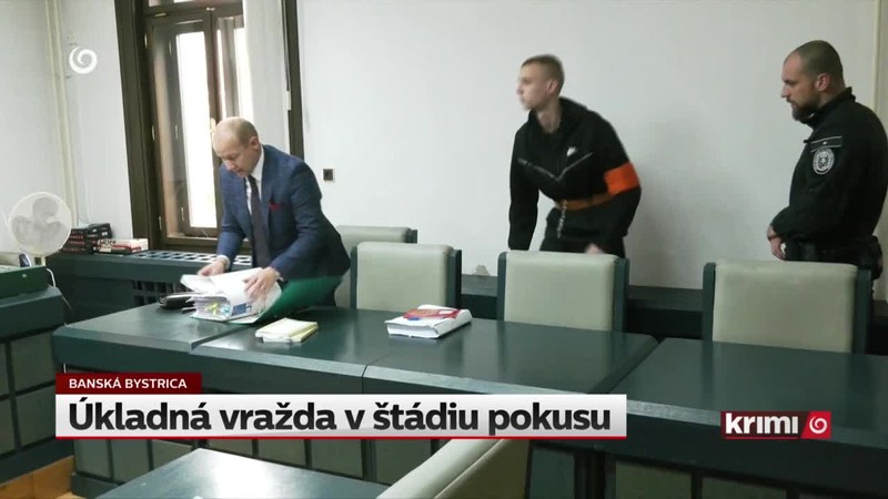 Úkladná vražda v štádiu pokusu