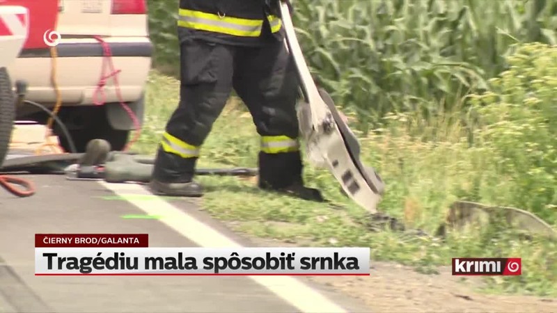 Tragédiu mala spôsobiť srnka