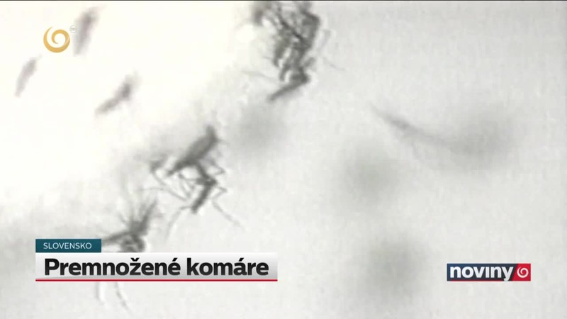 Premnožené komáre