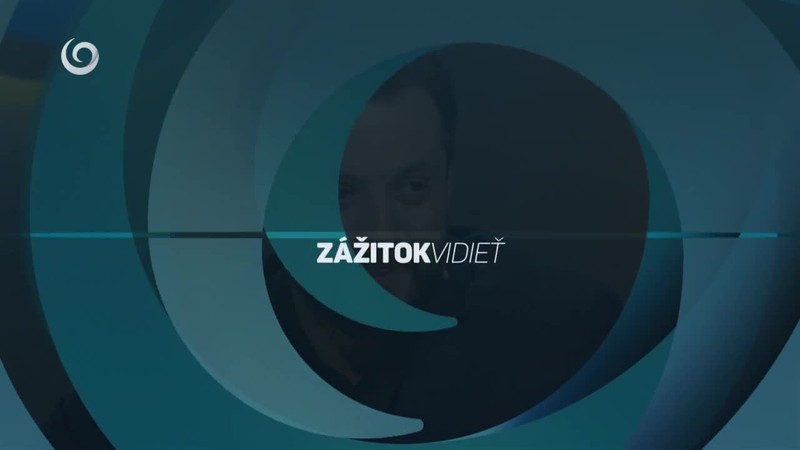 Brtvu pustili z väznice