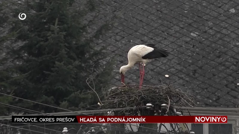 HĽADÁ SA PODNÁJOMNÍK