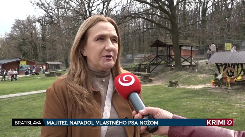 MAJITEĽ NAPADOL VLASTNÉHO PSA NOŽOM