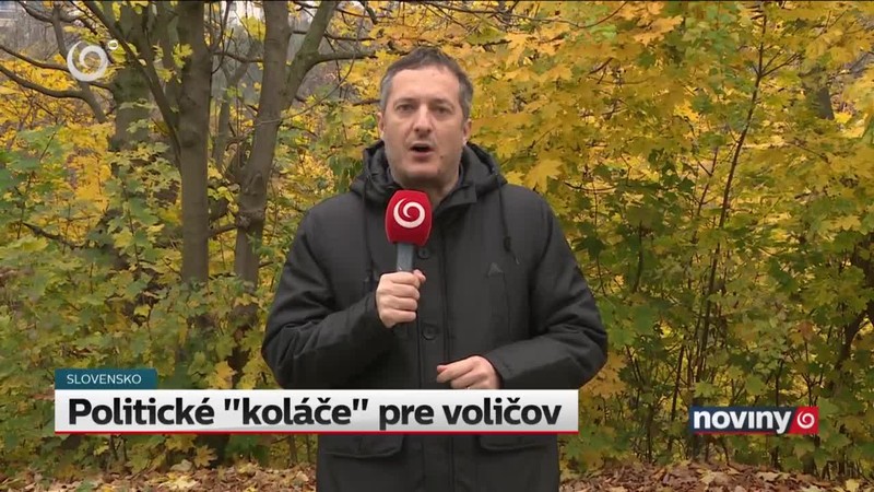 Politické "koláče" pre voličov
