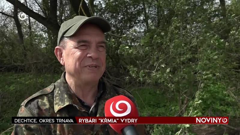 RYBÁRI "KŔMIA" VYDRY