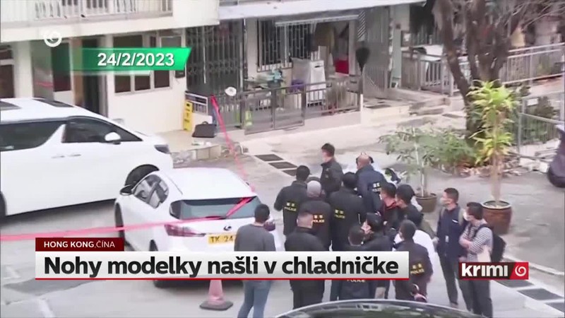 Nohy modelky našli v chladničke