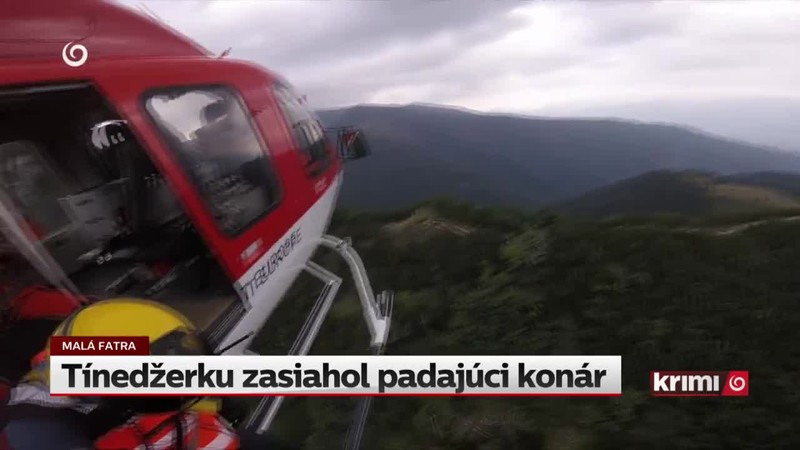 Tínedžerku zasiahol padajúci konár