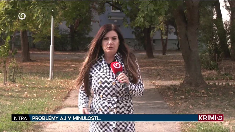 PROBLÉMY AJ V MINULOSTI...