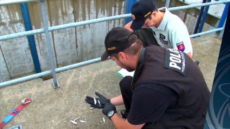 Rybári hovoria o ekologickej katastrofe. Uhynuli ryby za polmilióna eur