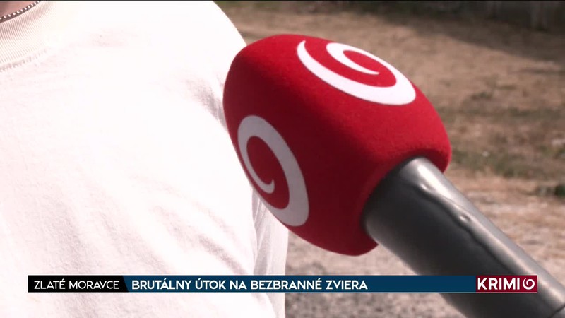 BRUTÁLNY ÚTOK NA BEZBRANNÉ ZVIERA