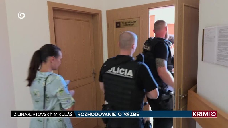 ROZHODOVANIE O VÄZBE