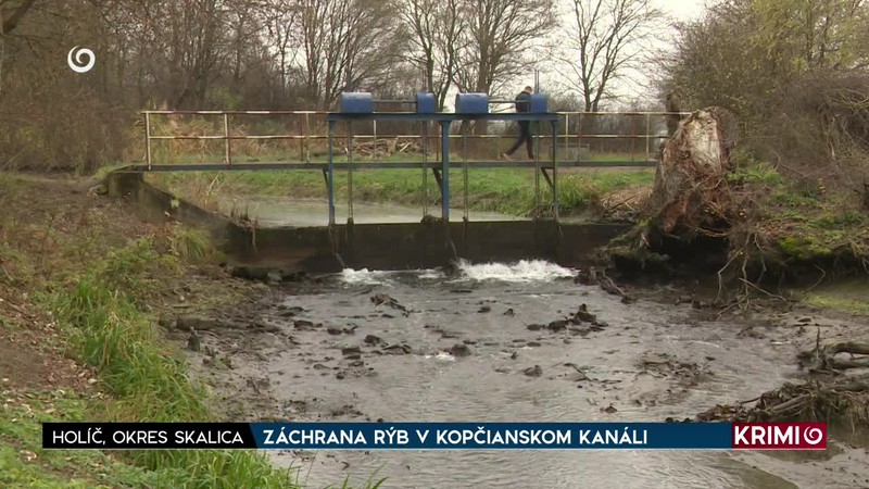 ZÁCHRANA RÝB V KOPČIANSKOM KANÁLI