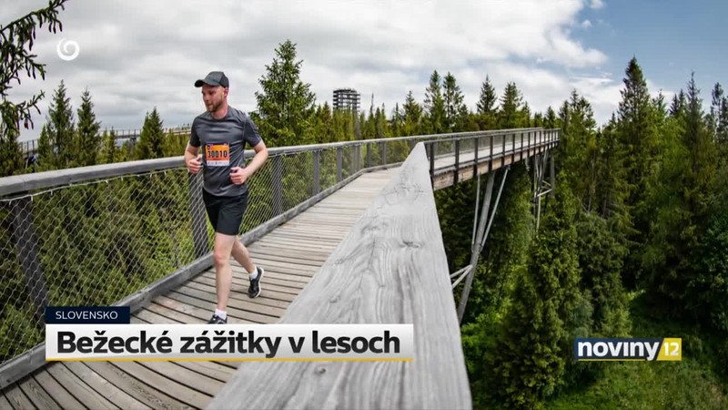 Bežecké zážitky v lesoch