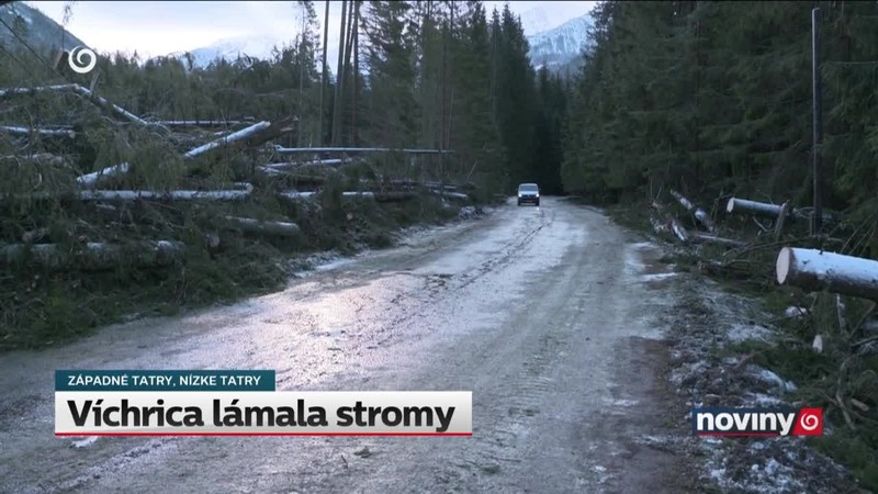 Víchrica lámala stromy