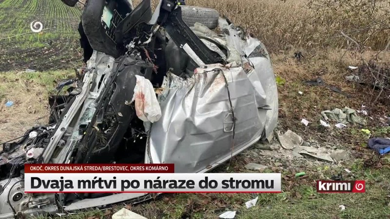 Dvaja mŕtvi po náraze do stromu