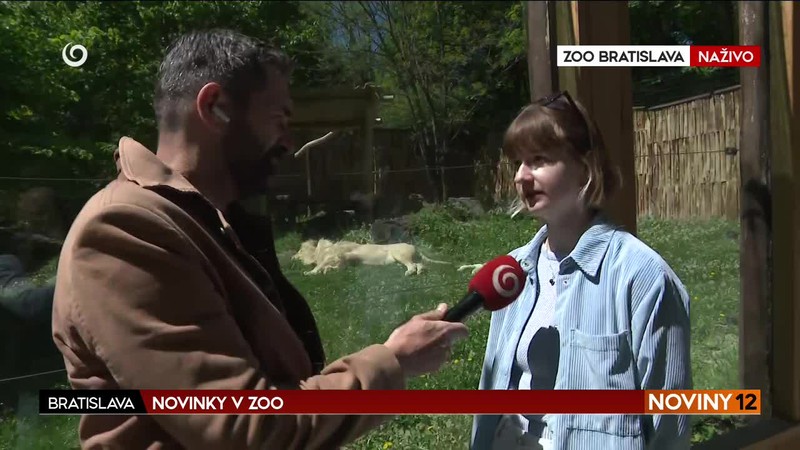 NOVINKY V ZOO