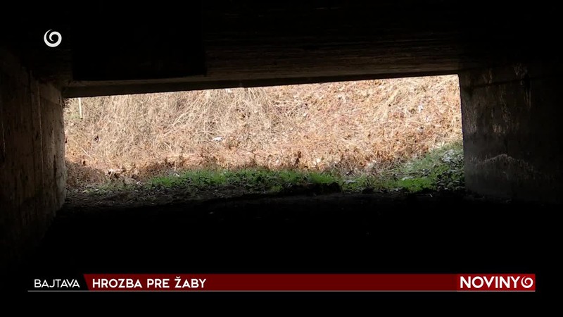 HROZBA PRE ŽABY
