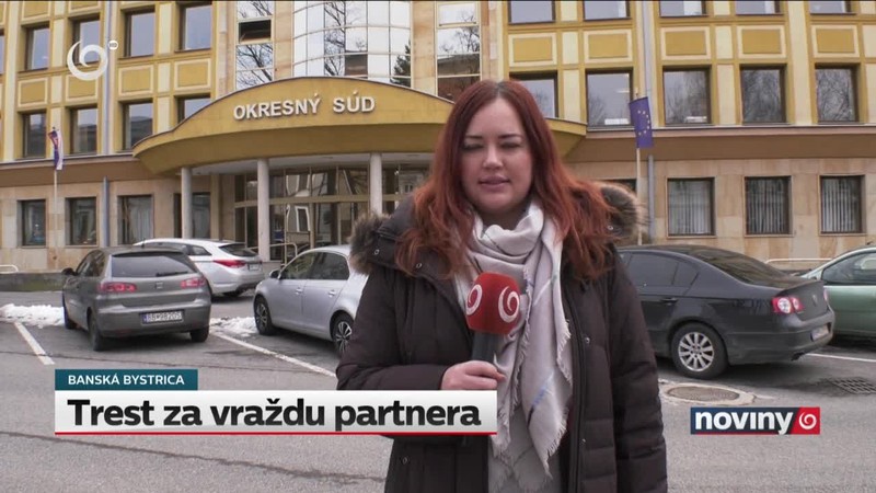 Trest za vraždu partnera