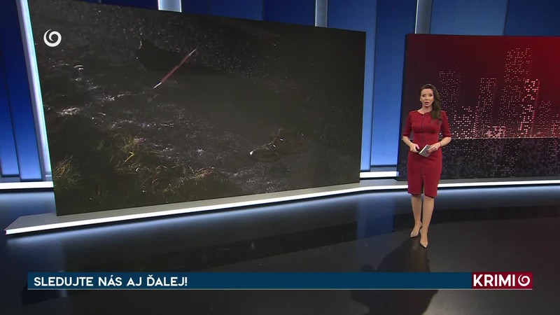 AUTO ZAKLIESNENÉ POD KAMIÓNOM