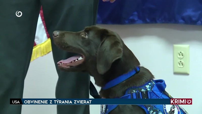 MATKA VRAHA Z VLAKU PREHOVORILA