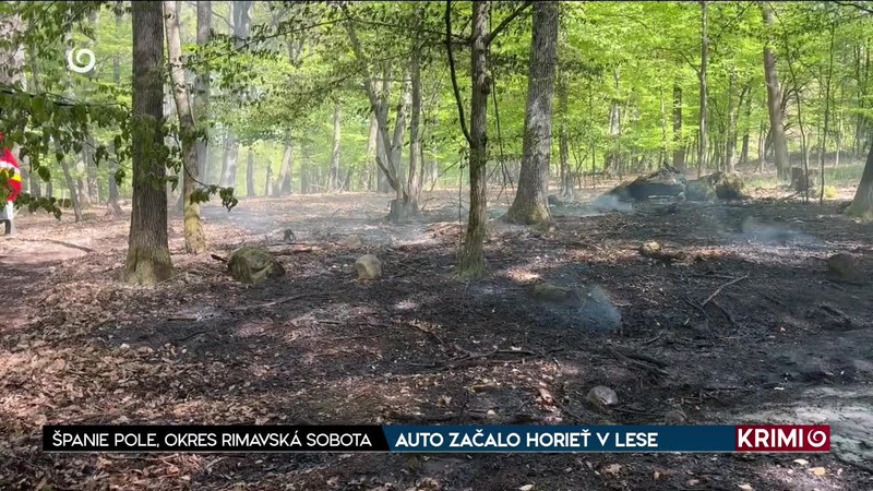 AUTO ZAČALO HORIEŤ V LESE