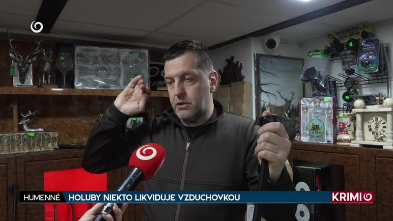 HOLUBY NIEKTO LIKVIDUJE VZDUCHOVKOU