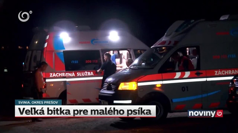 Veľká bitka pre malého psíka