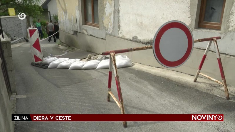 DIERA V CESTE