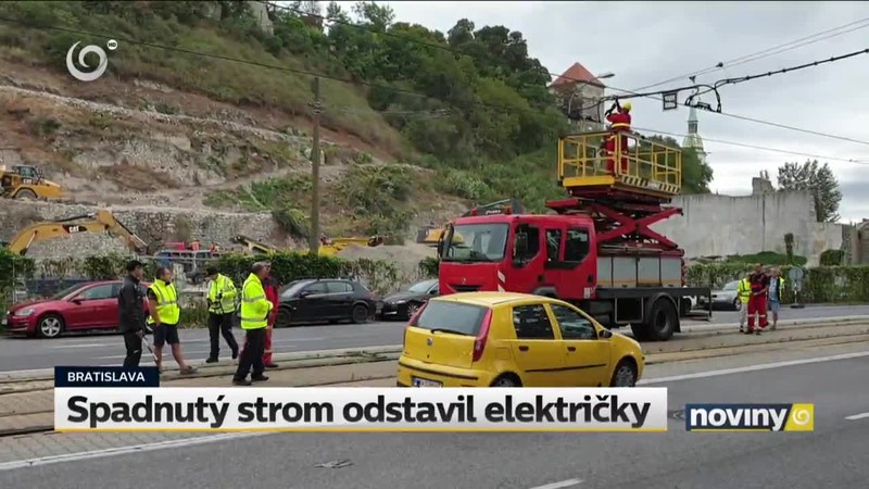 Spadnutý strom odstavil električky