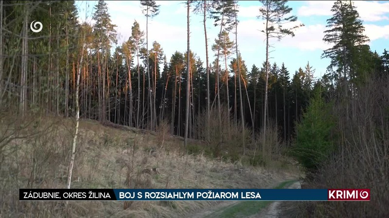 BOJ S ROZSIAHLYM POŽIAROM LESA