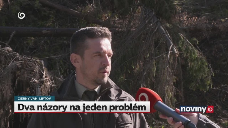 Dva názory na jeden problém