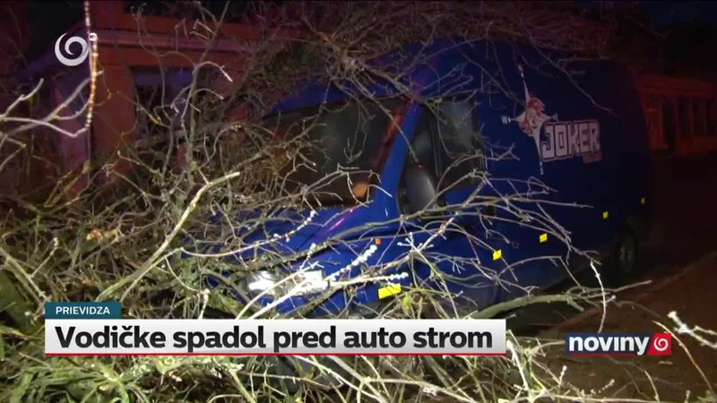Vodičke spadol pred auto strom