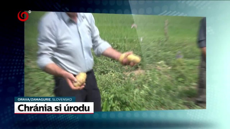 Odškodné v oceliarňach
