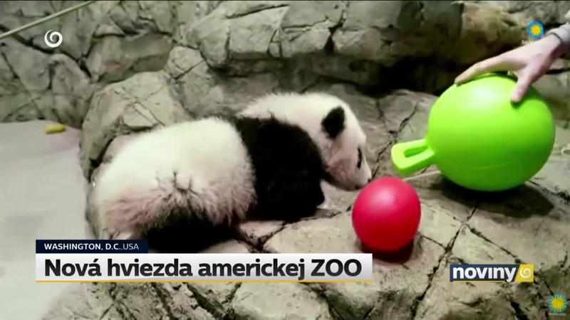 Nová hviezda americkej ZOO