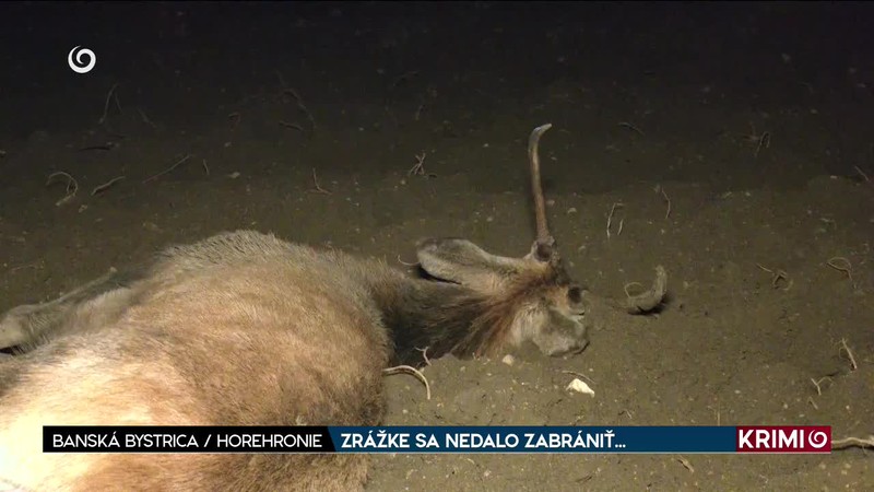 ZRÁŽKE SA NEDALO ZABRÁNIŤ...