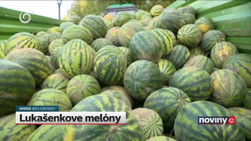 Lukašenkove melóny