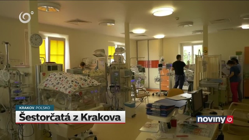 Šestorčatá z Krakova