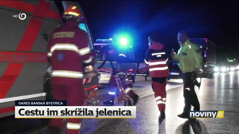 Cestu im skrížila jelenica