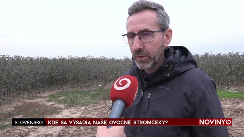 KDE SA VYSADIA NAŠE OVOCNÉ STROMČEKY?