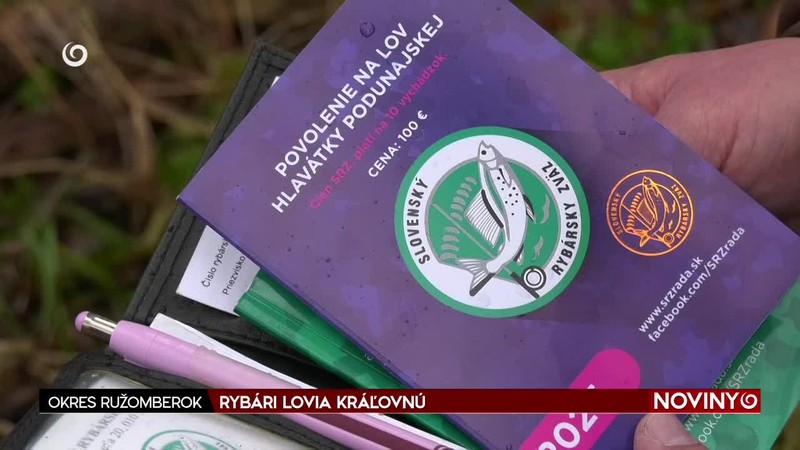 RYBÁRI LOVIA KRÁĽOVNÚ