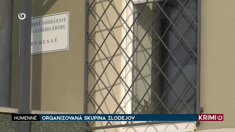 ORGANIZOVANÁ SKUPINA ZLODEJOV