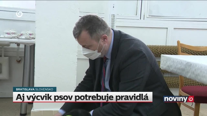 Aj výcvik psov potrebuje pravidlá