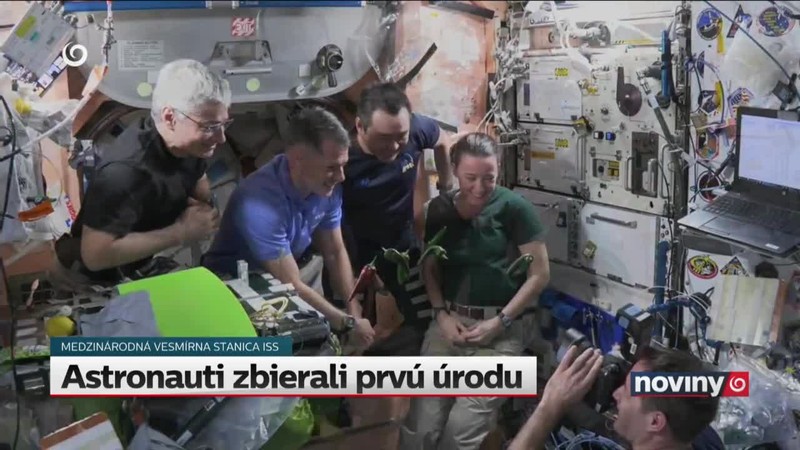 Astronauti zbierali prvú úrodu