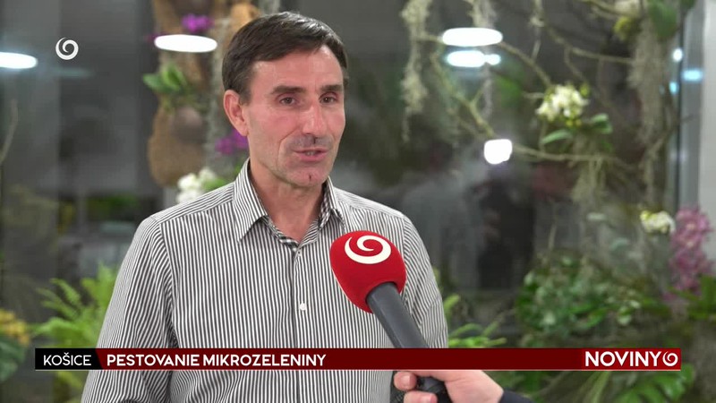 PESTOVANIE MIKROZELENINY